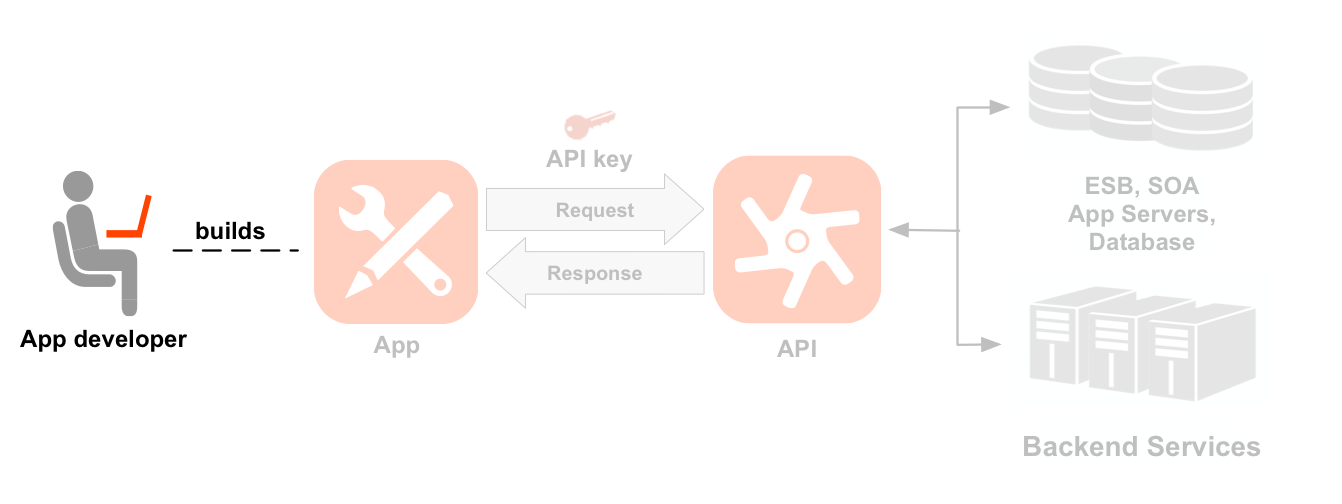 显示开发者、应用、API 和后端服务的从左到右的序列图。突出显示开发者图标。虚线从突出显示的开发者指向开发者已构建的应用的图标。从应用出发的箭头和指向应用的箭头表示到 API 图标的请求和响应流，请求上方显示应用密钥。API 图标下是两组资源路径，分为两个 API 产品：位置产品和媒体产品。位置产品具有 /countries、/cities、/languages 资源，媒体产品具有 /books、/magazines、/movies 资源。API 的右侧是 API 调用的后端资源，包括数据库、企业服务总线、应用服务器和通用后端。