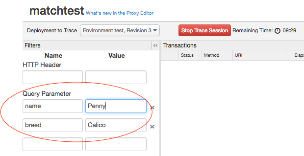 In the Trace tool, under Filters, under Query Parameter, two example names and values
     are set.